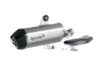 Scarico Hp Corse - SPS Carbon Satin - BMW R 1250 GS